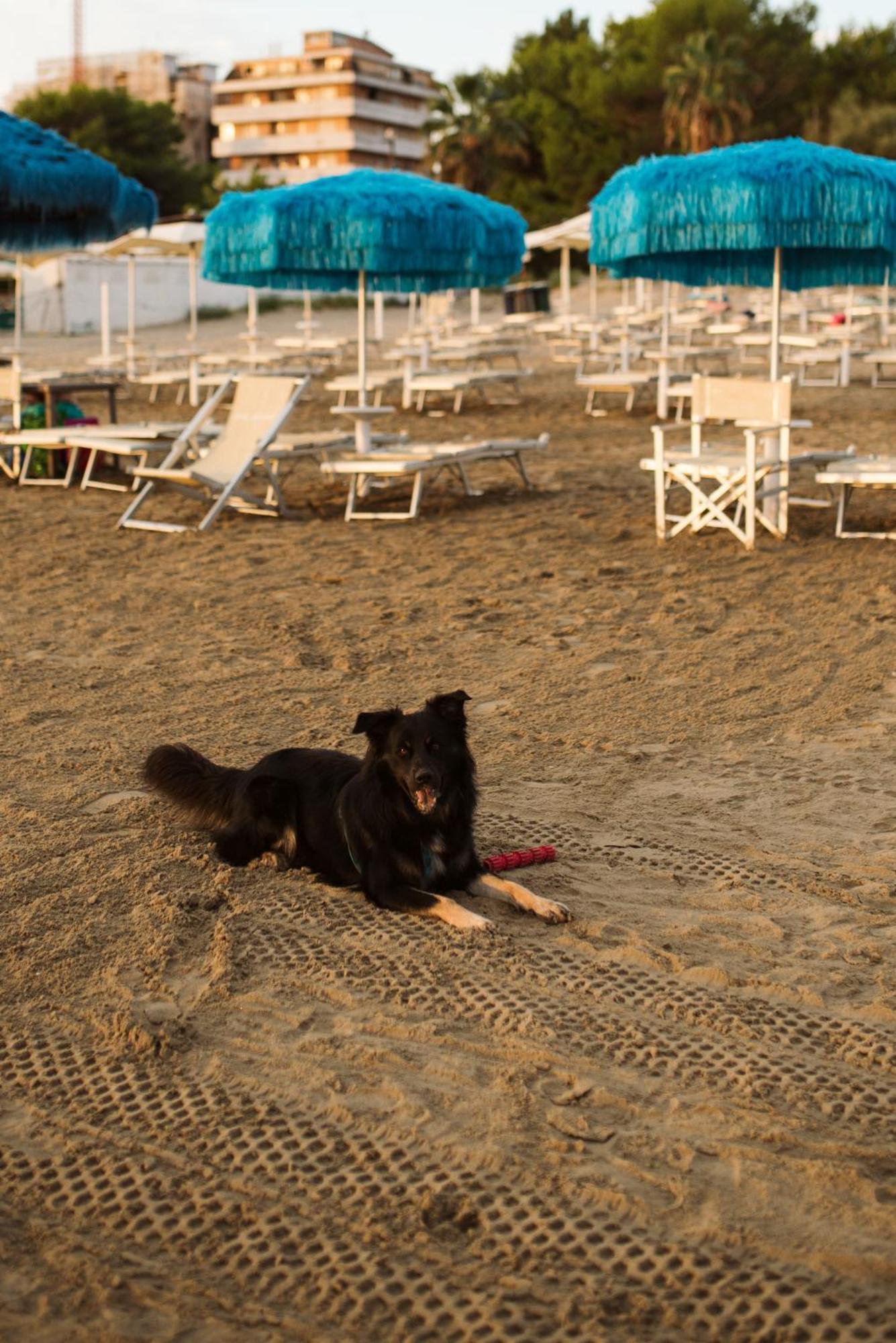 Hotel Antagos Montesilvano Marina Exteriör bild